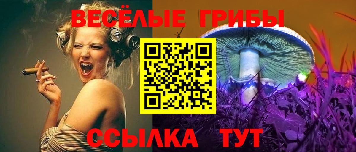 Южноуральск  Галлюциногенные грибы Magic Shrooms  Вход с VPN 